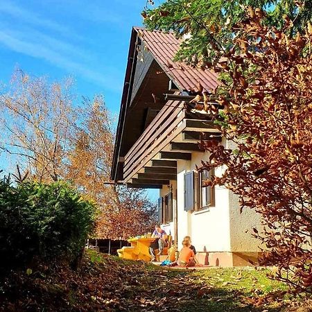 Pet & Family Friendly House Viktorija - House Near Golica With Triglav View Jesenice Exterior foto
