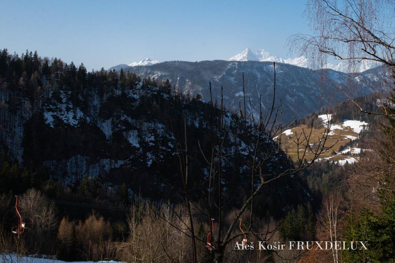 Pet & Family Friendly House Viktorija - House Near Golica With Triglav View Jesenice Exterior foto