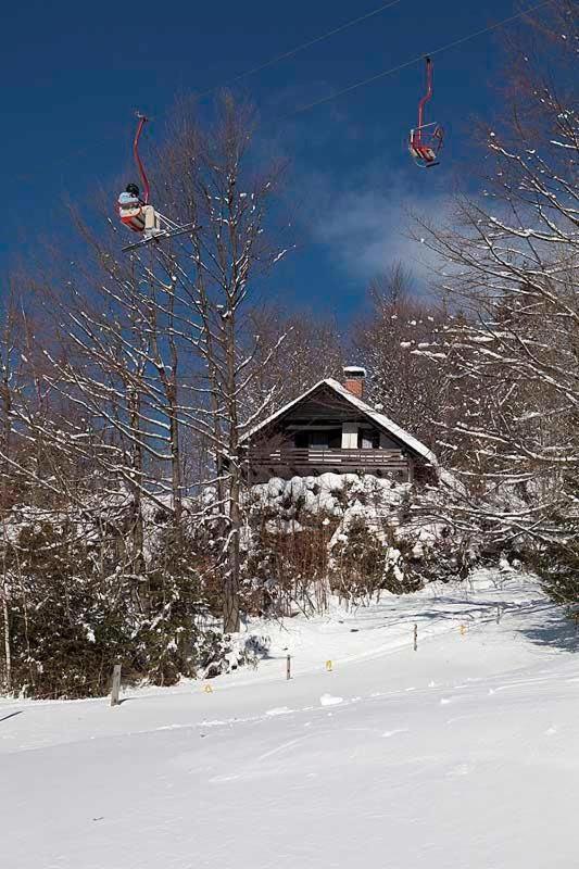 Pet & Family Friendly House Viktorija - House Near Golica With Triglav View Jesenice Exterior foto
