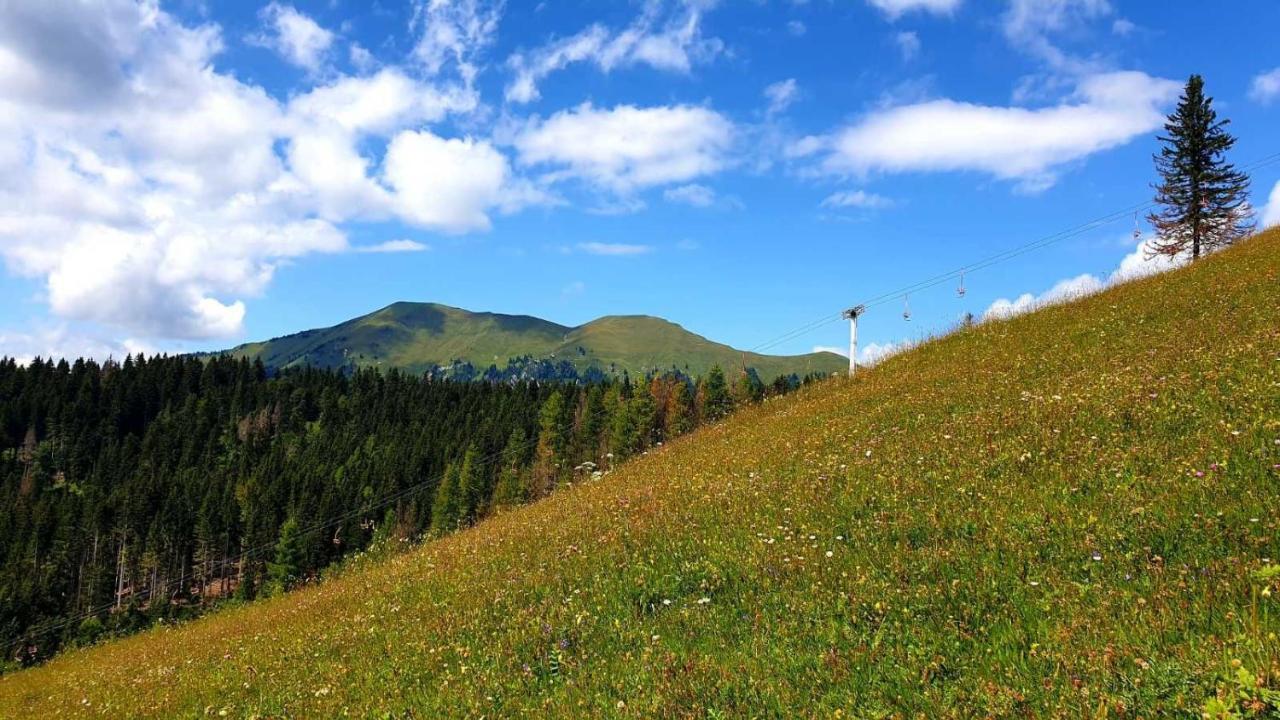 Pet & Family Friendly House Viktorija - House Near Golica With Triglav View Jesenice Exterior foto