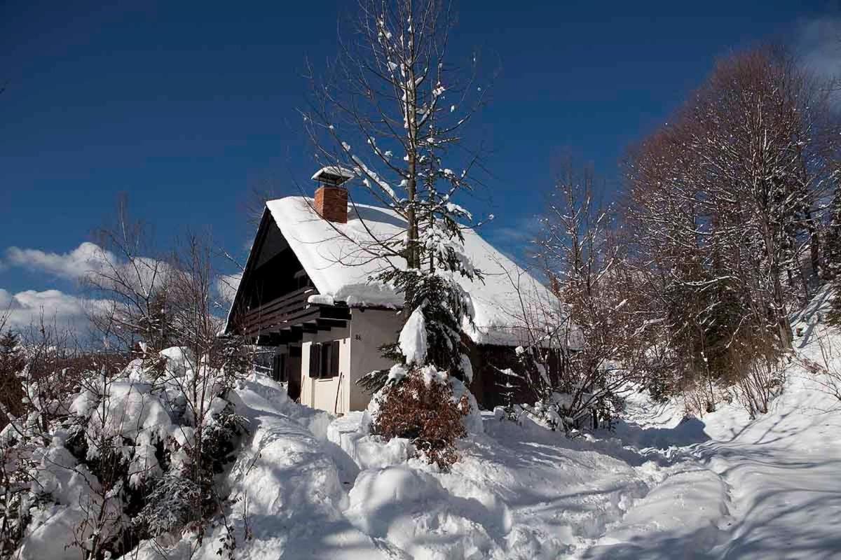 Pet & Family Friendly House Viktorija - House Near Golica With Triglav View Jesenice Exterior foto