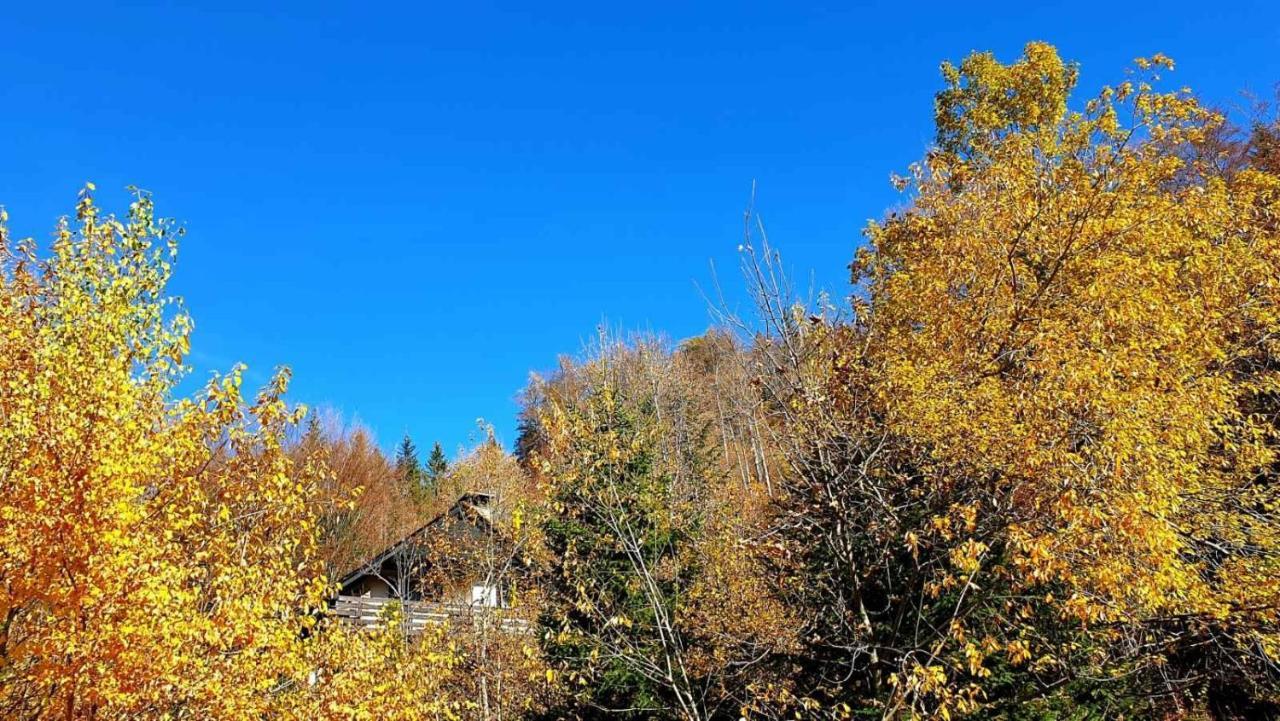 Pet & Family Friendly House Viktorija - House Near Golica With Triglav View Jesenice Exterior foto