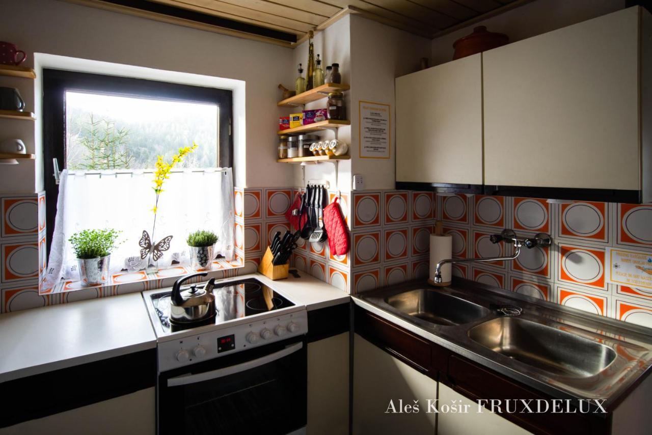 Pet & Family Friendly House Viktorija - House Near Golica With Triglav View Jesenice Exterior foto